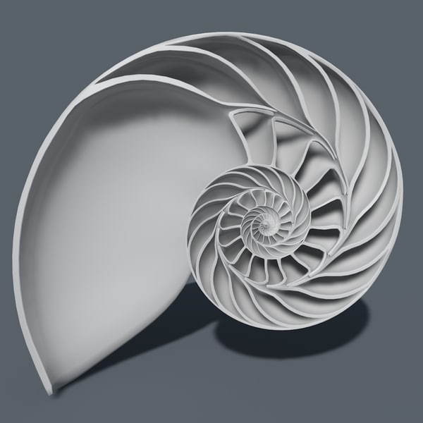 3d nautilus shell cut - Nautilus shell cut... by legendar1